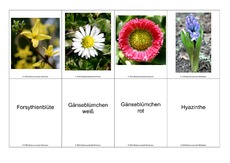 Blumen-Memo-Aufdeckspiel-1.pdf